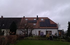 Biberschwanz 1