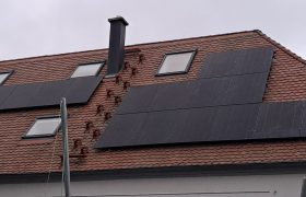 Biberschwanz 13